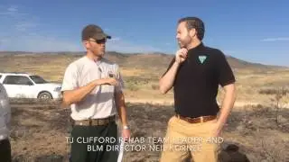 Soda Fire rehab challenge