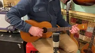1950s Harmony baritone ukulele