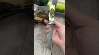 Тигр 🐅 доступен к заказу