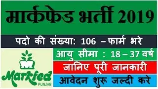 Markfed Punjab Recruitment 2019 | Senior Assistant, Steno Typist | मार्कफेड पंजाब भर्ती
