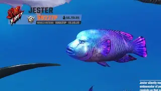 Fishing Master Game Jester Monster Fish