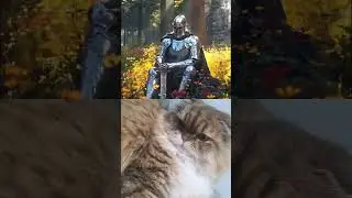 Golden Brown 4k slowed version #edit #golden #brown #goldenbrown #fun #like #fantasy #catshorts