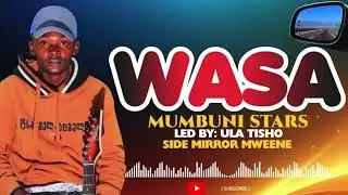 WASA BY MUMBUNI STARS SIDE MIRROR (011 758 8424)