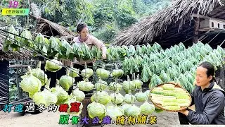 打造過冬的豬窩，販售大公雞，醃鹽菜《荒野姻緣》19