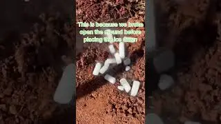 We put dry ice to the test against fire ants and the result was incredible! Watch as the ants swarm