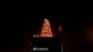Dasara jamboo Savari procession 2022🐘💡.........#mysurudasara #2022tayfa #mysorediaries #mysorepalace