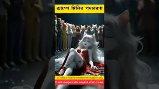 র&zwj;্যাম্পে মিলির পদচারণা || bengali story | cat video| bhuter golpo |#catrescue #cat #shorts