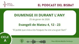 Comentari a l'Evangeli del Diumenge III durant l&rsquo;any