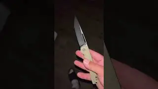 PETRIFIED FISH &ldquo;RIPPLE&rdquo;‼️beautiful and underrated budget blade😮&zwj;💨#new#edc#knife community