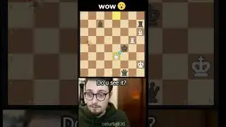 Amazing Stalemate💀 Can you see it?🧐 #chess