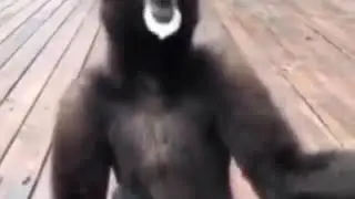 Bijna bier drinken