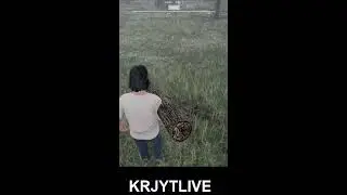 ranch sim day 1