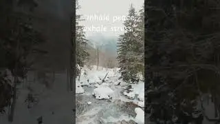 #calm #nature #chillquotes #motivation #winter #snow #ytshorts #youtubeshorts #view #relaxingmusic