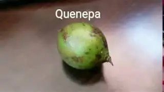 Quenepas