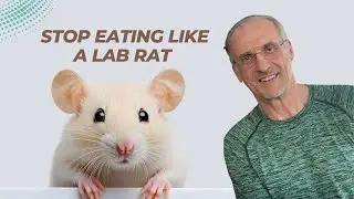 Protein Needs: What Rat Studies Get Wrong About Humans