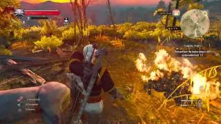 The Witcher 3: Wild Hunt glitch