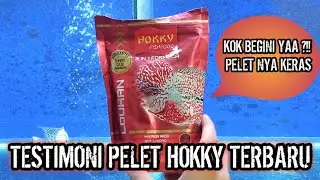 UJI COBA PELET LOUHAN HOKKY FLOWERHORN TERBARU (LOUHAN 2 JARI & 3 JARI)