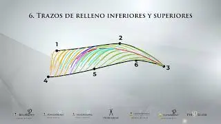 Anatom&iacute;a BoldBrows #PhiAcademy