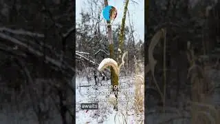 Local Highlights: A Winter Journey of Community and Celebration  LOCAL 10 11-27-23 #HastingsNow