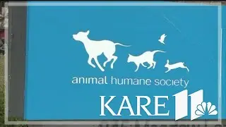 Canine influenza outbreak confirmed in Animal Humane Society shelters