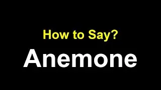 How to Pronounce Anemone &ndash; Correct Pronunciation