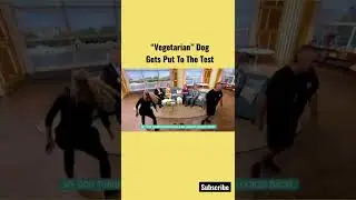 Lady claims her Dog is vegetarian