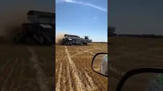What a way to end wheat harvest 2022 with this beast #nexat #cool #germany #shorts