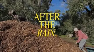 A Rainy Day on the Homestead | Preparing the Garden for Spring