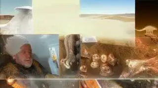 Decreation