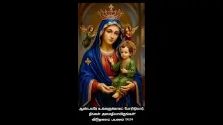 🔴04 Feb 26 ✠ Holy Redeemer's Basilica ✠ 3573வது வார இடைவிடா சகாய அன்னையின் நவநாள் திருப்பலி ,