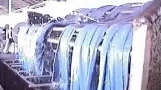Dyeing of cotton knitted fabric with reactive dyes.