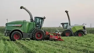 CORN SILAGE IN ITALY Fendt Katana 85 | New Jaguar 980 Shredlage- TRINCIATO 2019