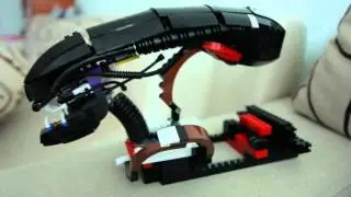 MVI 0056