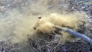 Hitting a Giant Puffball  Mushroom with a stick to make it smoke :)