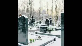 This Canadian company is offering an alternative to a traditional burial in a cemetery