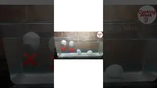 Egg test in water/#shorts