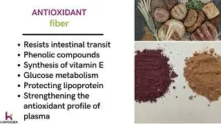 The antioxidant-Fiber contained in the grape bagasses, a great opportunity to develop healthy Food