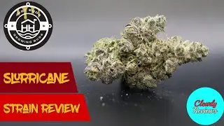 SLURRICANE By @harborhousecollective STRAIN REVIEE