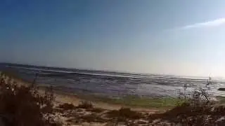 Mitrena