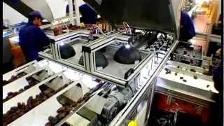 Automated Date Fruit Sorting