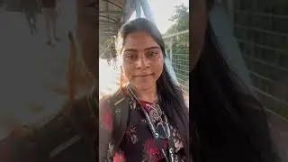 Miru agree chesthara ? Comment 🤗👇 #pregnancy #pregnancydance #trendingnow #trendingsongs #viral