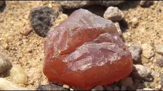 البحث العشوائي عن الاحجار الجديدة في يوم جديد