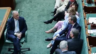 ‘High taxing government’: Multiple Labor MPs doubt their own party’s super tax