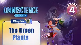The Green Plants | Science Class 4 | Chapter 6 | IP Study