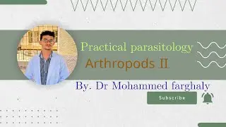 Arthropods part ll