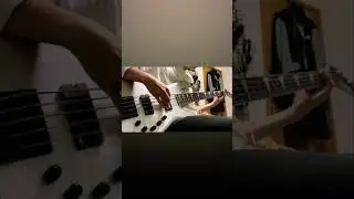 X Series Signature David Ellefson Concert Bass CBX V  Holy Wars