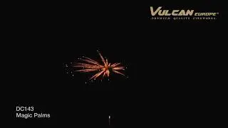 Magic Palms Mega Feuerwerk www.Megafeuerwerk.com