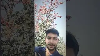 Jharkhand plash phool