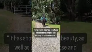 Horses Can Change Your Life #ridingwarehouse #horse #horsewisdom #horseriding
