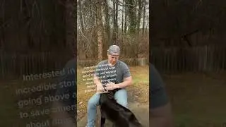 Dog Hero stories and practical tips for dogs